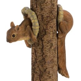 Accent Plus Clever Squirrel Tree Decoration